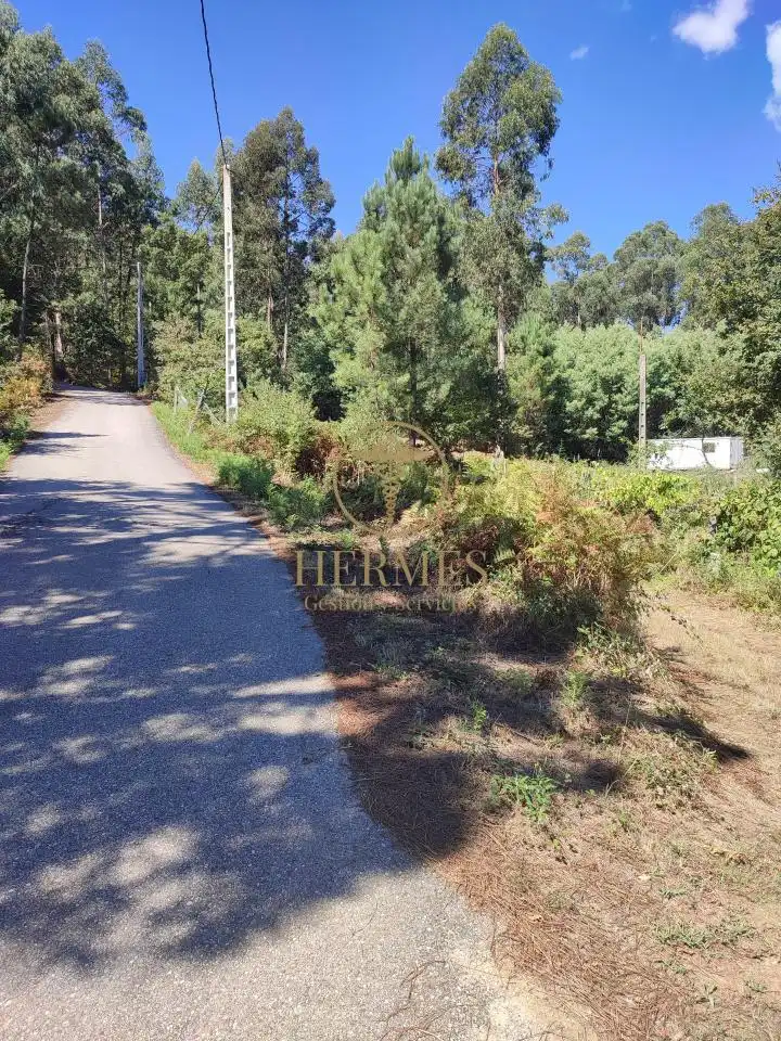 Terreno rustico in vendita a Tui, imagen 9