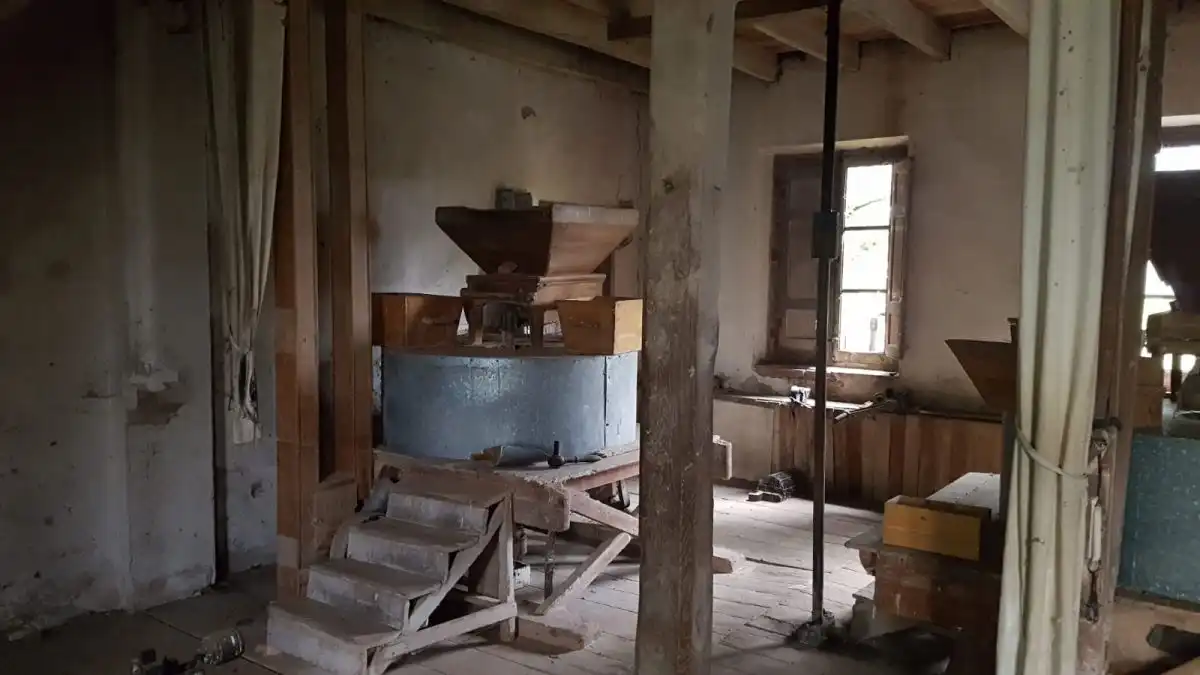 Kitchen of Buildings for sale in León Capital 