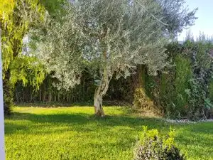 Chalet con piscina en venta en Calle Arroyo Río Pudio, imagen 2