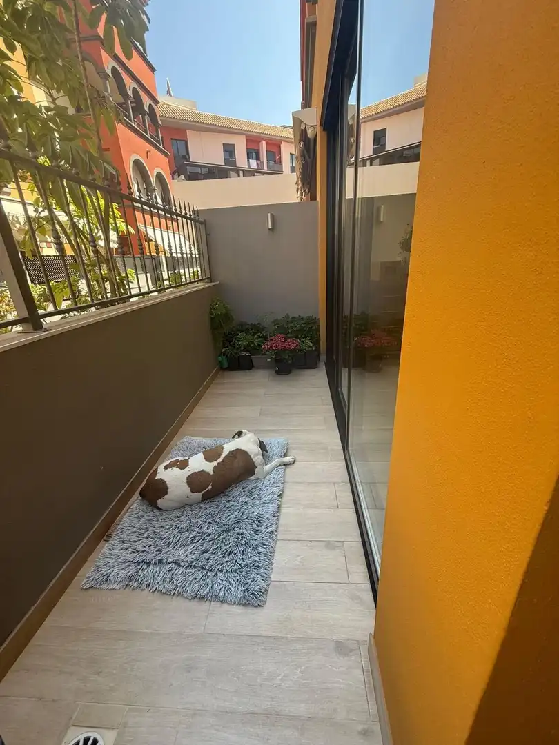 Terrassa de Apartament en venda en Adeje amb Moblat i Piscina comunitària