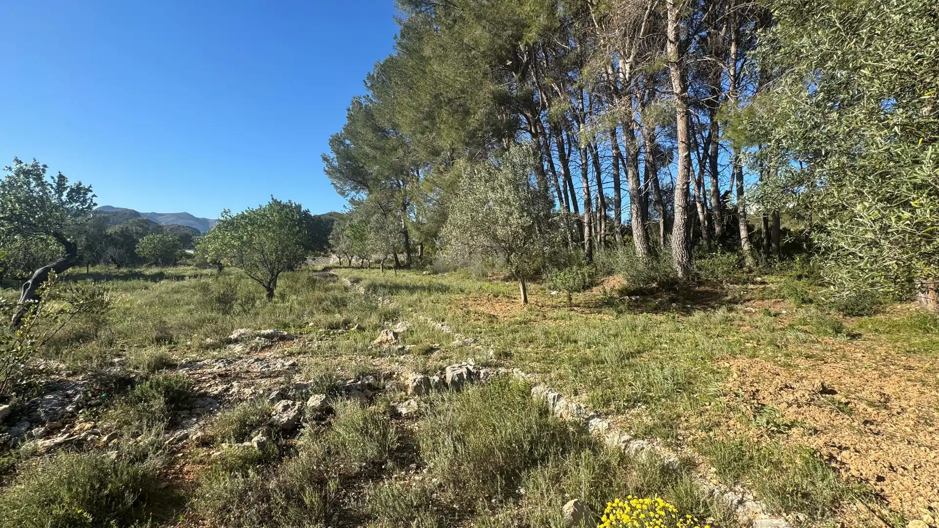 Residential for sale in Murla