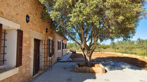 Foto 2 de Finca rústica de alquiler en Binissalem, Illes Balears