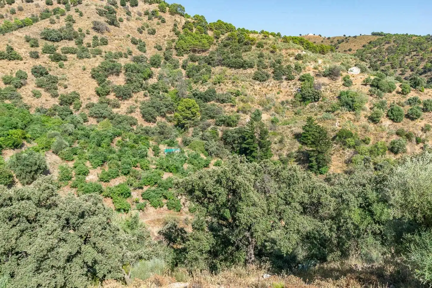Terreno rustico in vendita a Salares, imagen 4
