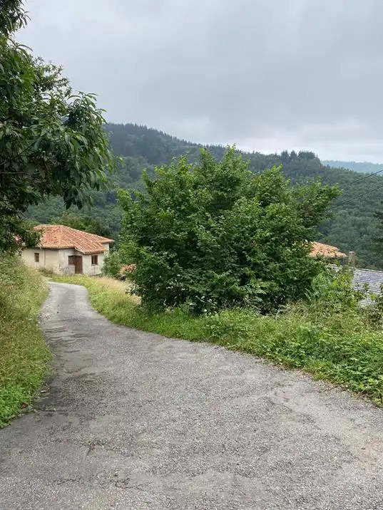 Finca rústica en venta en Salas
