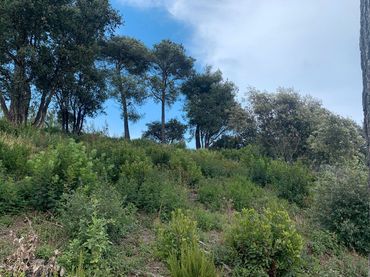 Terreny residencial en venda a Palafolls