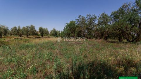 Terrenos en venta en Gójar, imagen 2