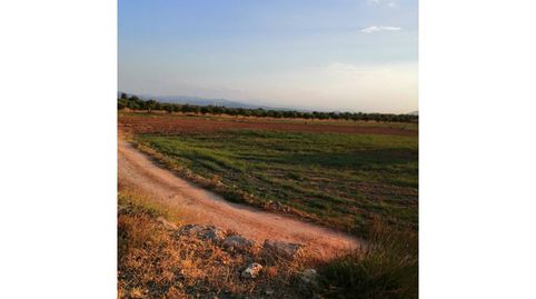 Finca rustica en venta en Hellín
