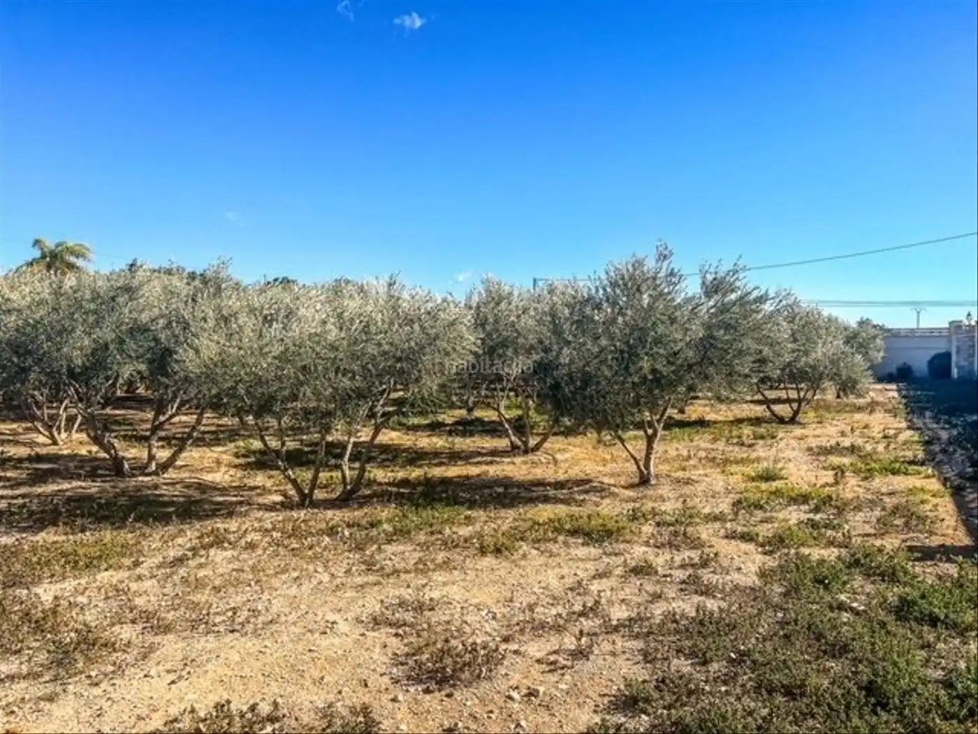 Chalet en venta en Partida Benaut 38, imagen 6