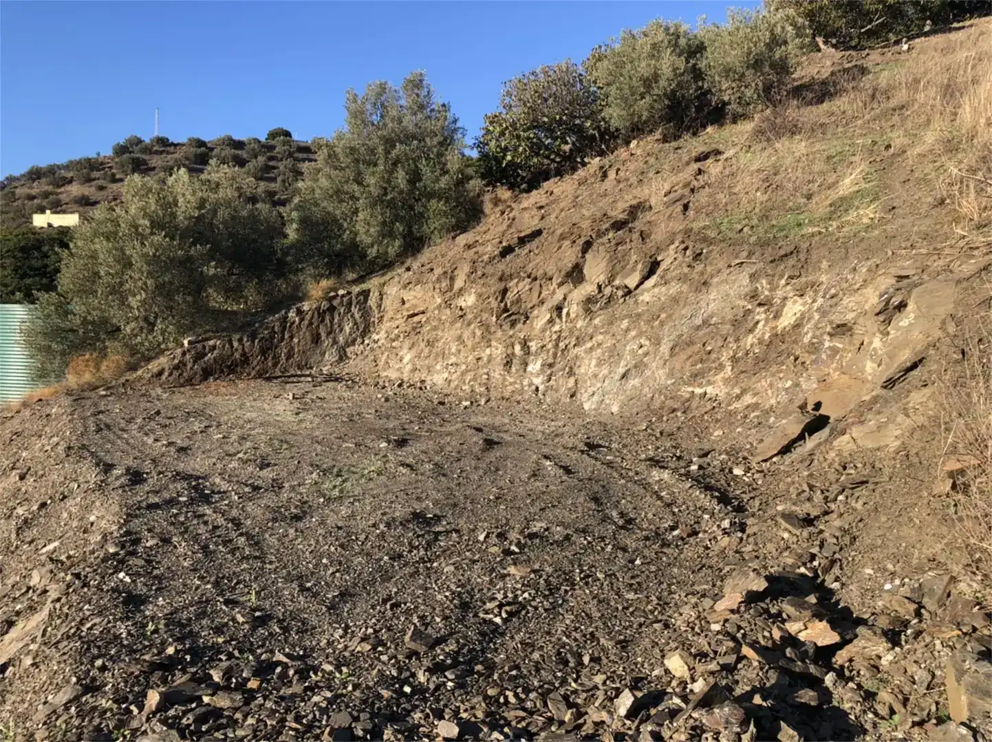 Finca rústica en venda en Torrox