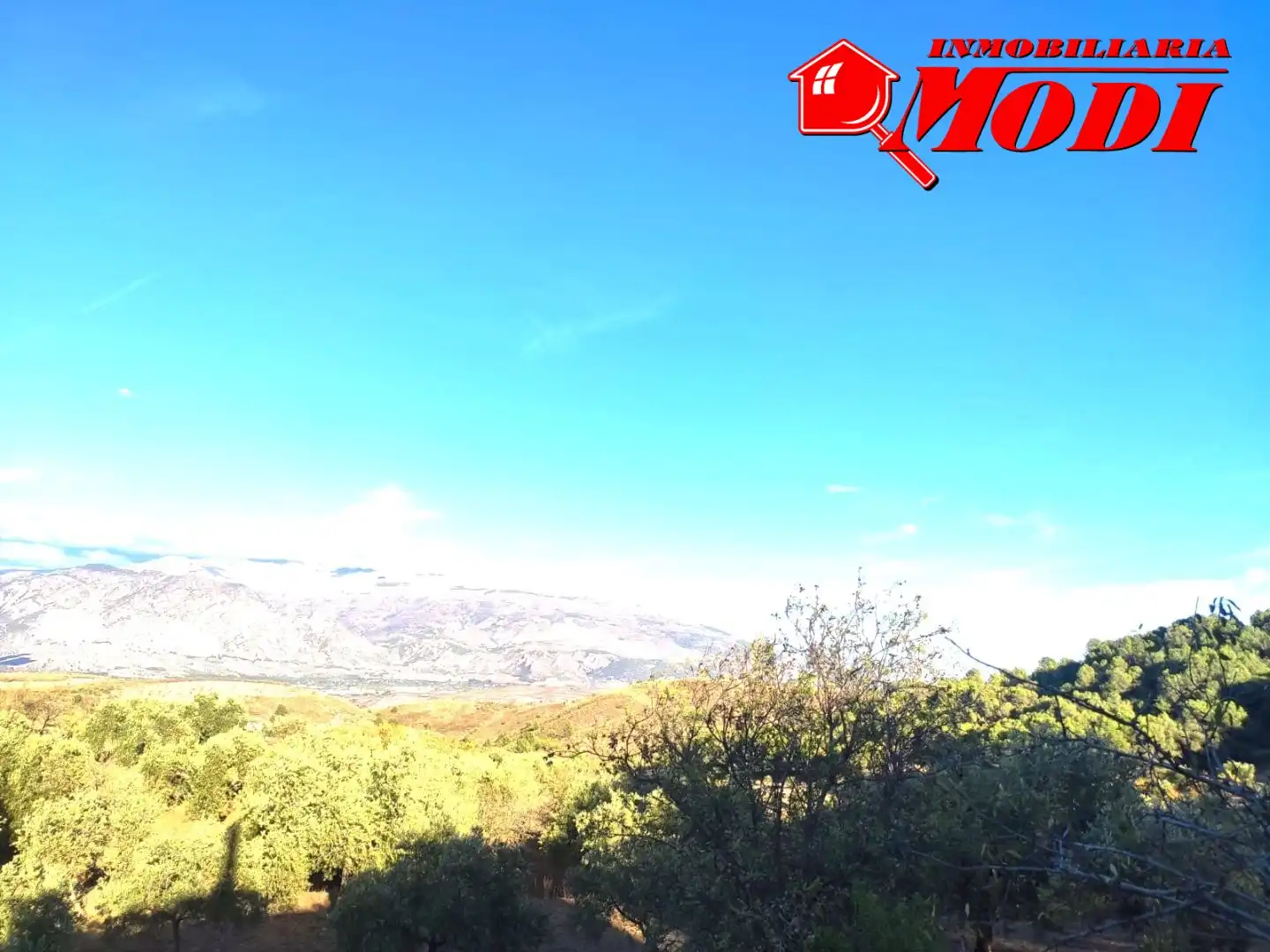 Finca rústica en venda en Villamena amb Jardí privat