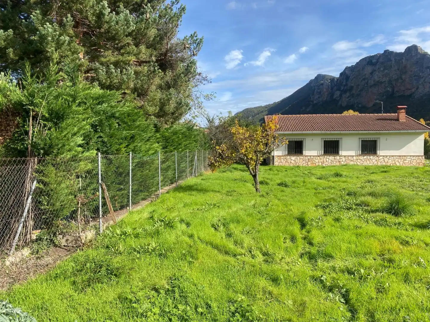 Xalet amb jardí en venda a Pedro Sagasta 48, imagen 29