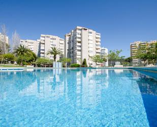 Swimming pool of Flat to rent in Alicante / Alacant  with Private garden, Terrace and Swimming Pool