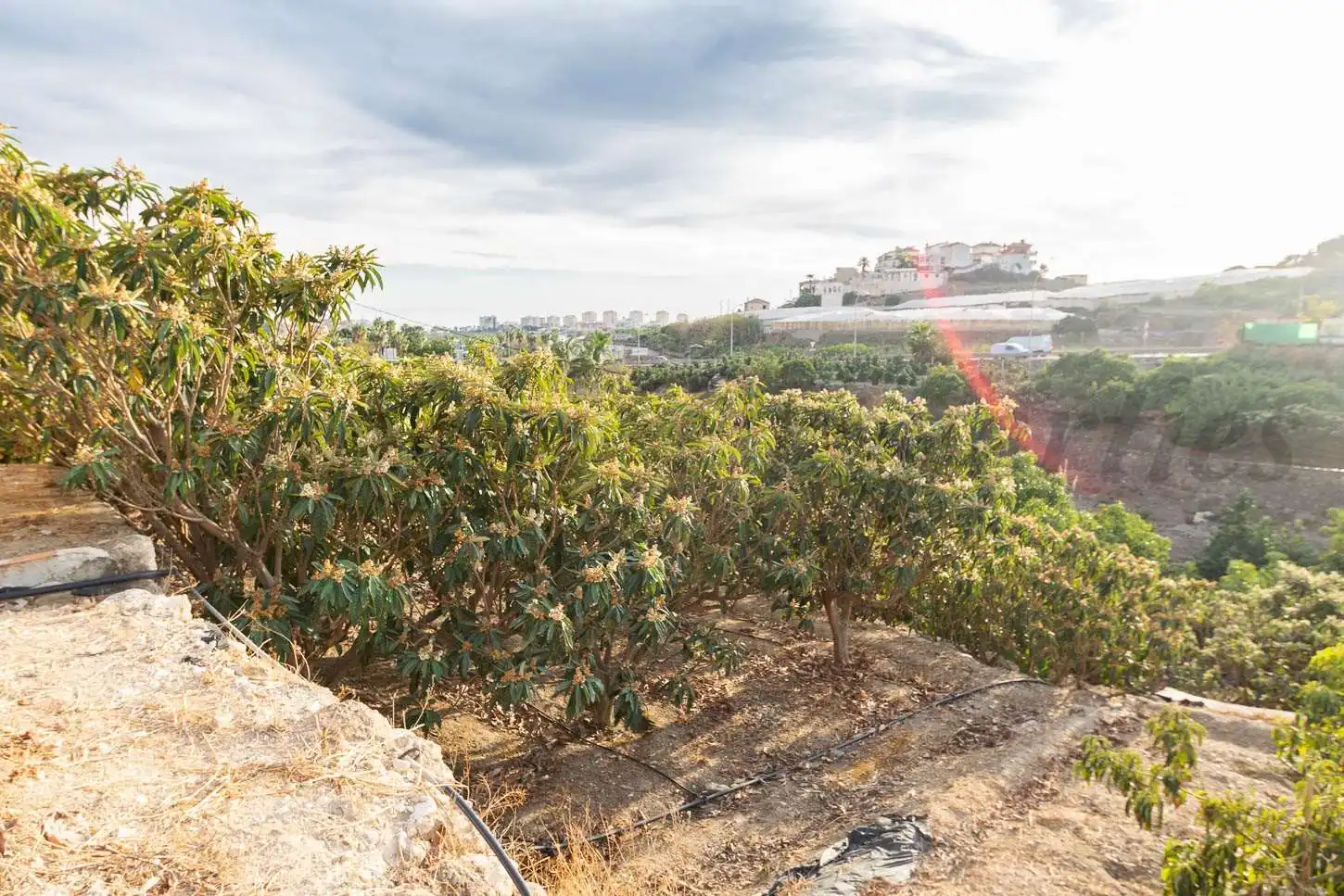 Maison à vendre à Torrox Pueblo, imagen 11