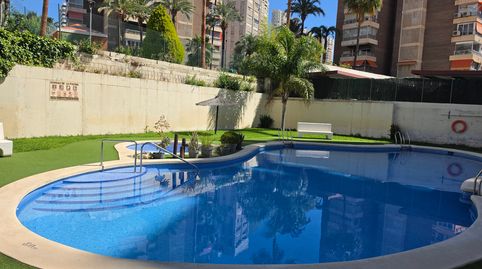 Foto 2 de Apartament en venda a Juzgados - Plaza de Toros, Benidorm