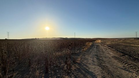 Foto 4 von Grundstücke zum Verkauf in Centro, Utrera
