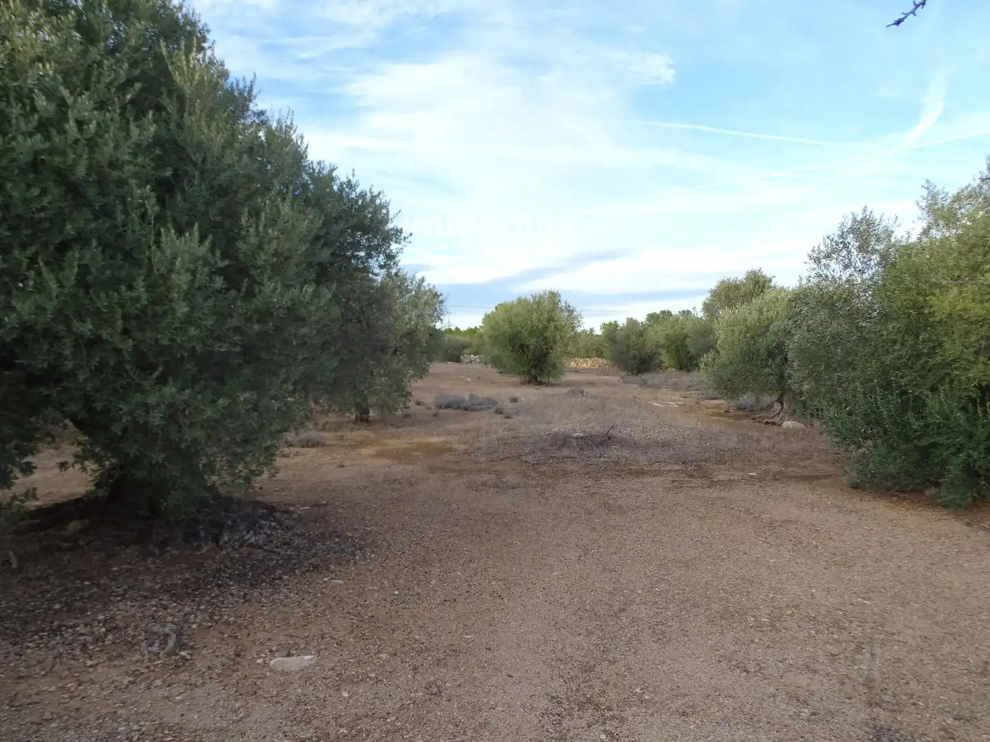Terrain résidentiel à vendre à 16, imagen 7