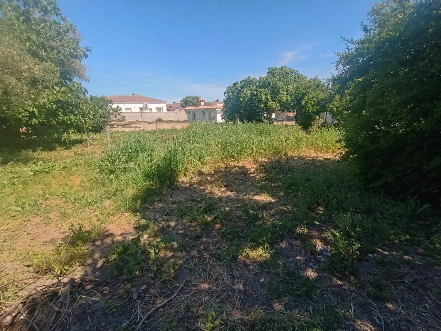 Terreny residencial en venda a Ctra Sanlúcar - Cuatro Pinos, imagen 4