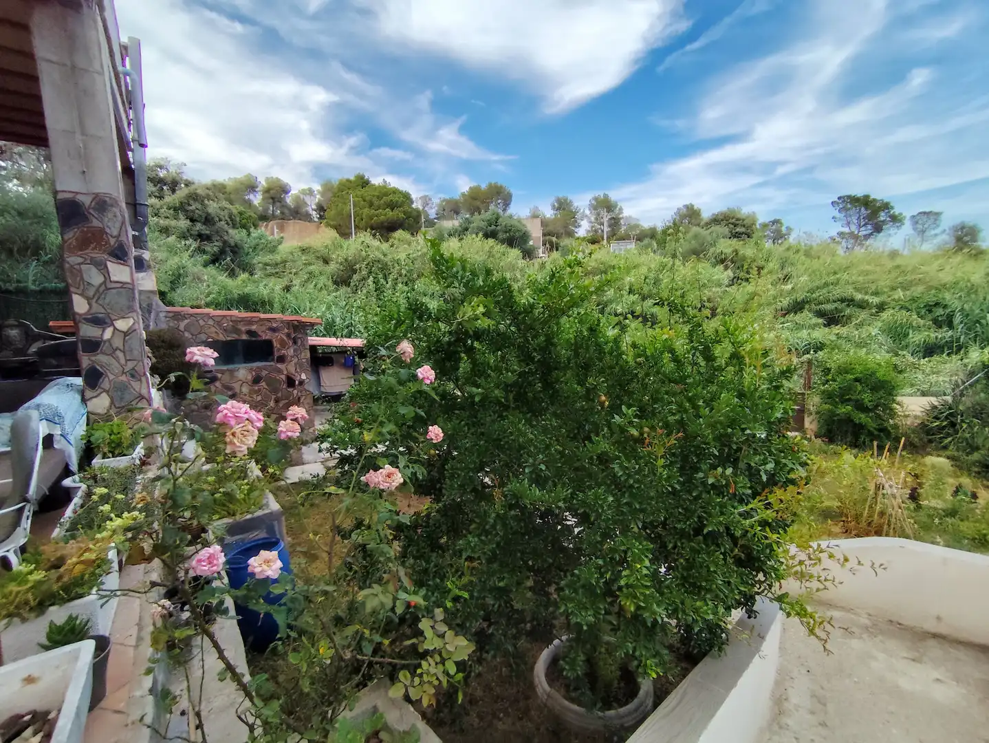 Jardín de Casa o chalet en venta en Piera con Jardín privado, Terraza y Trastero