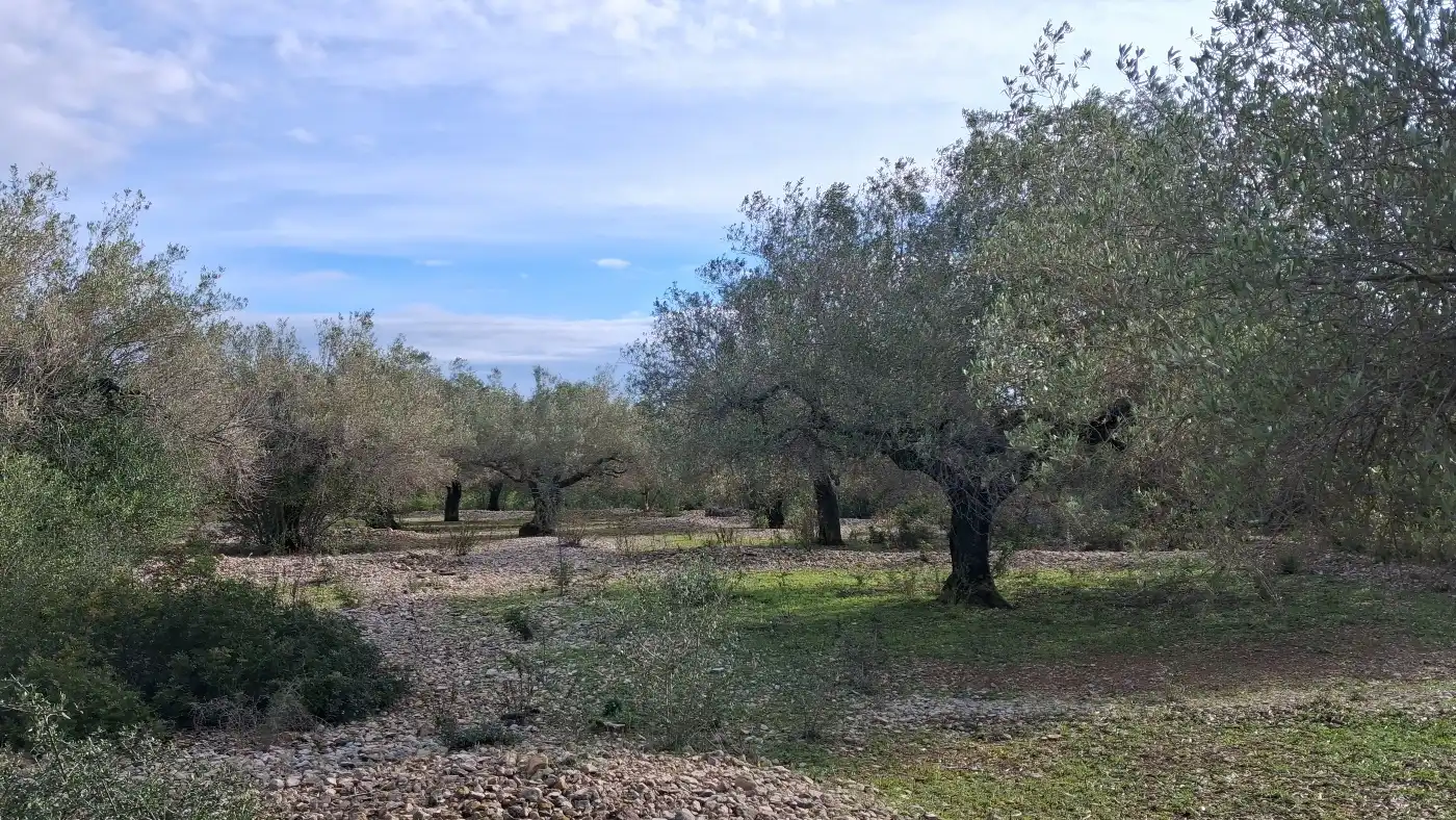 Finca rústica en venta en L'Ampolla