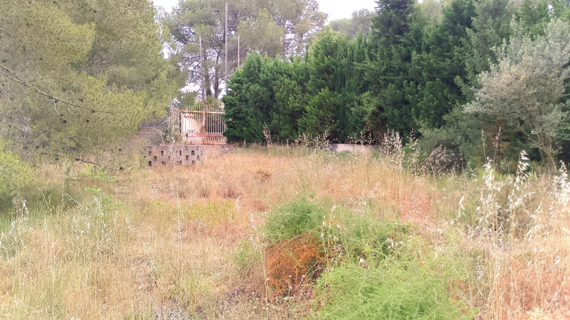 Industrial land for sale in Chiva