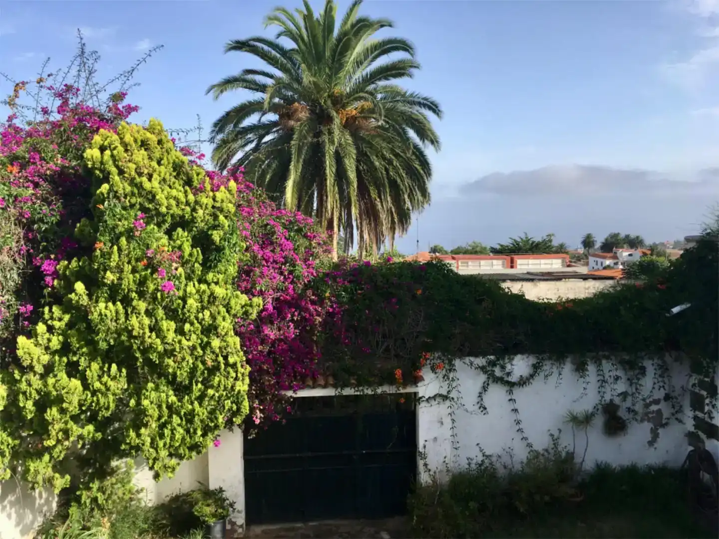 Exterior view of Houses for sale in Tacoronte - Los Naranjeros