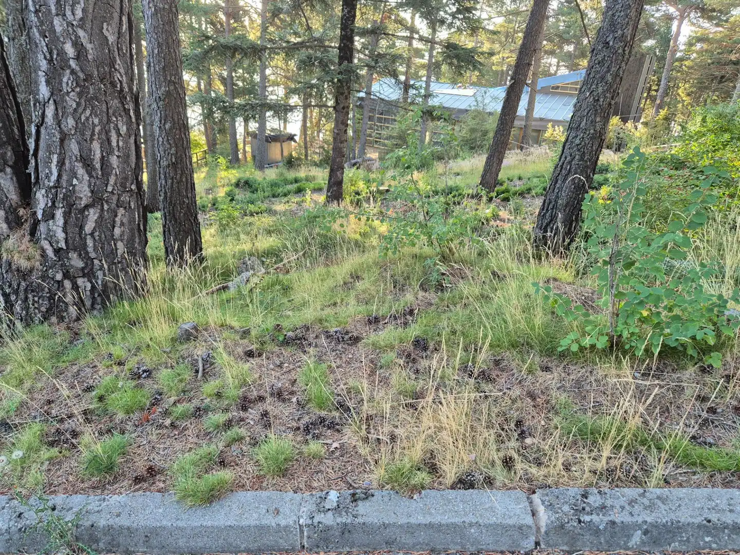 Grundstücke und Bauplätze zum Verkauf in Carrer Fornet, imagen 3