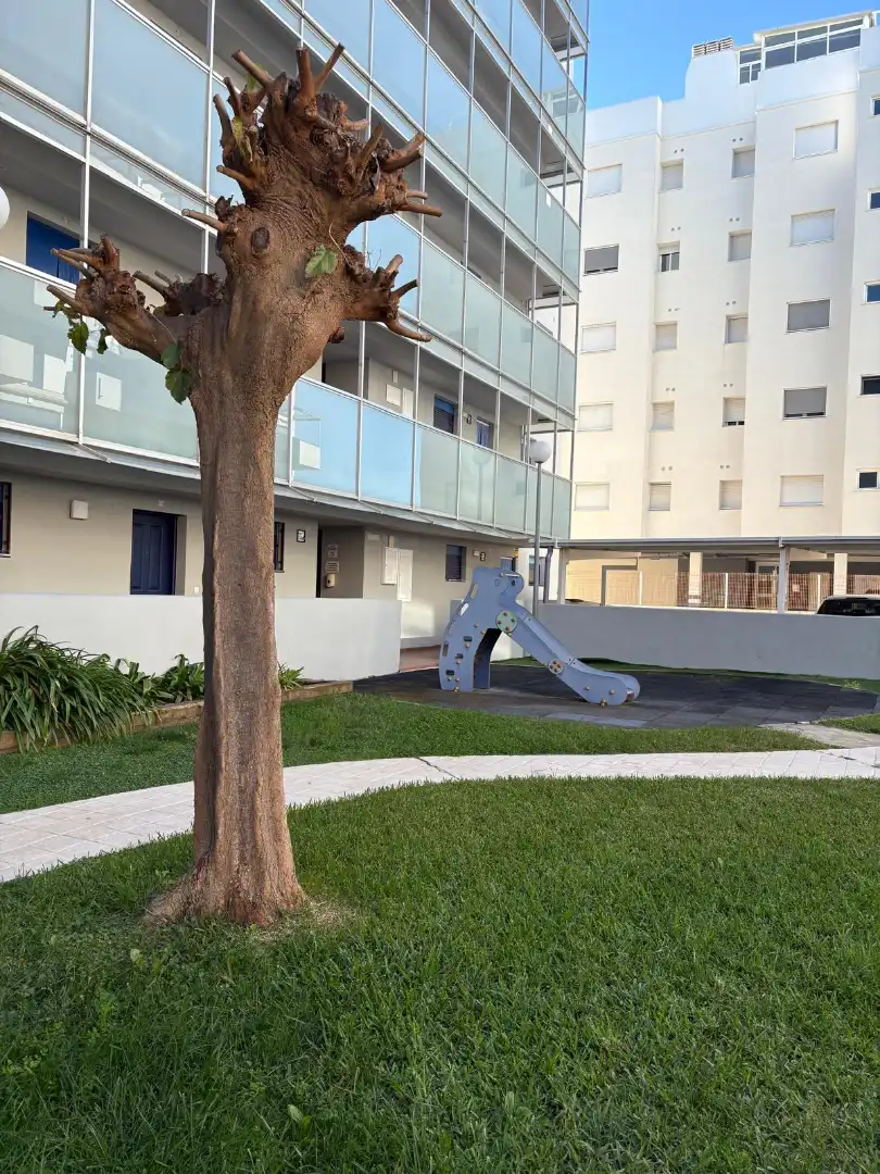 Ground floor with pool to rent in Carrer Garbí 26, imagen 19