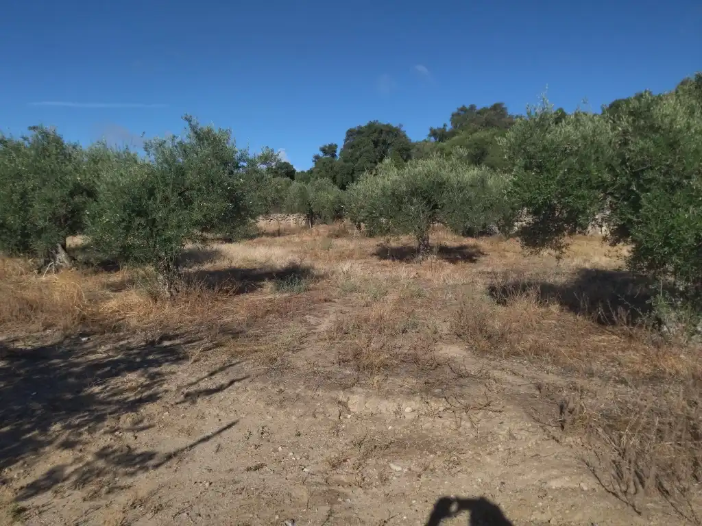 Terreni e lotti in vendita a Arroyomolinos (Cáceres), imagen 4