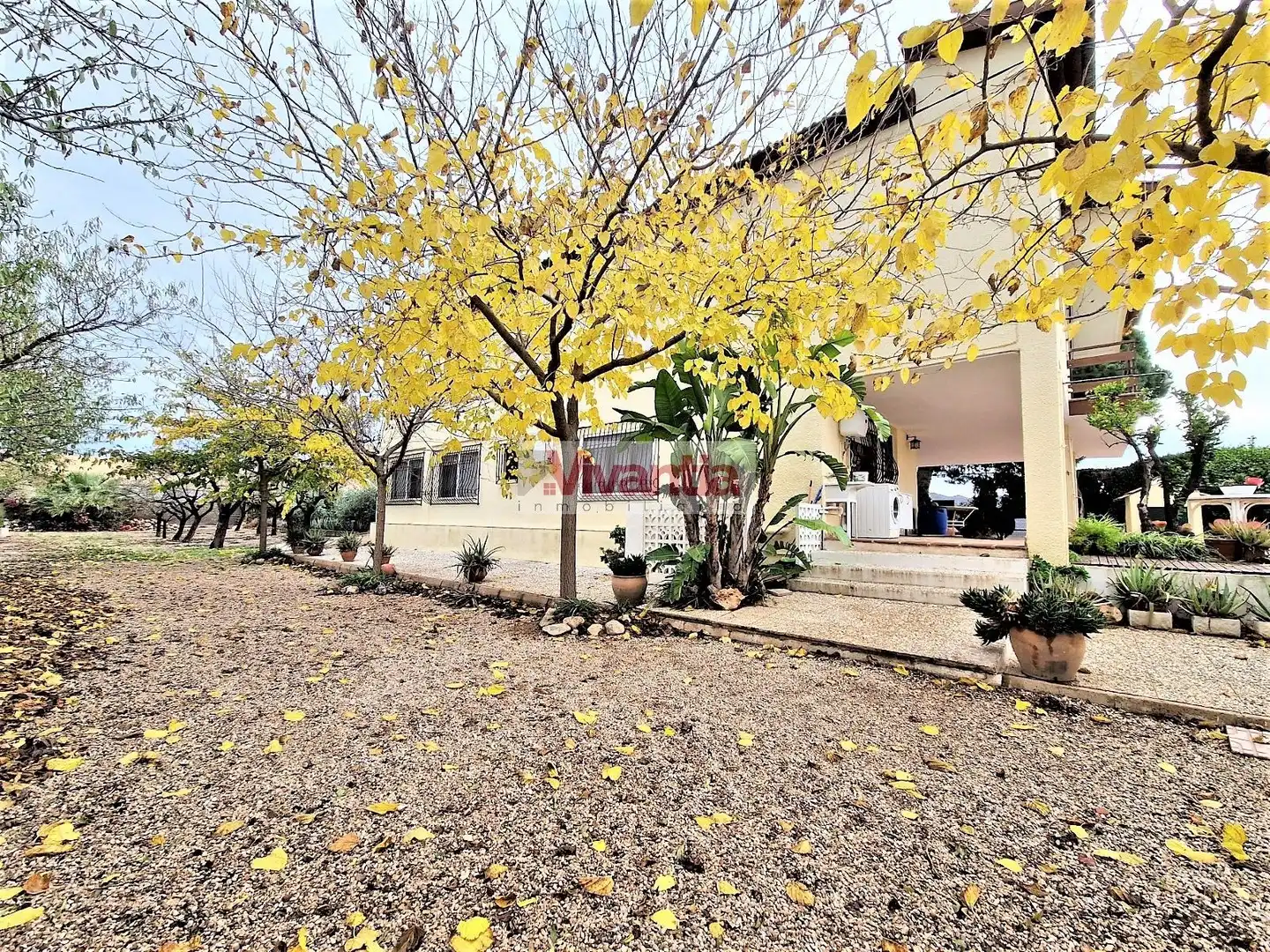 Xalet amb piscina en venda a Diseminado Purias, imagen 7