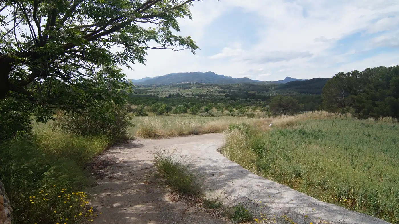 Terreno en venta en Ginestar