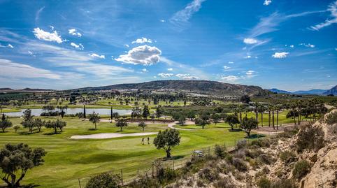 Foto 3 de Planta baixa en venda a Algorfa, Alicante