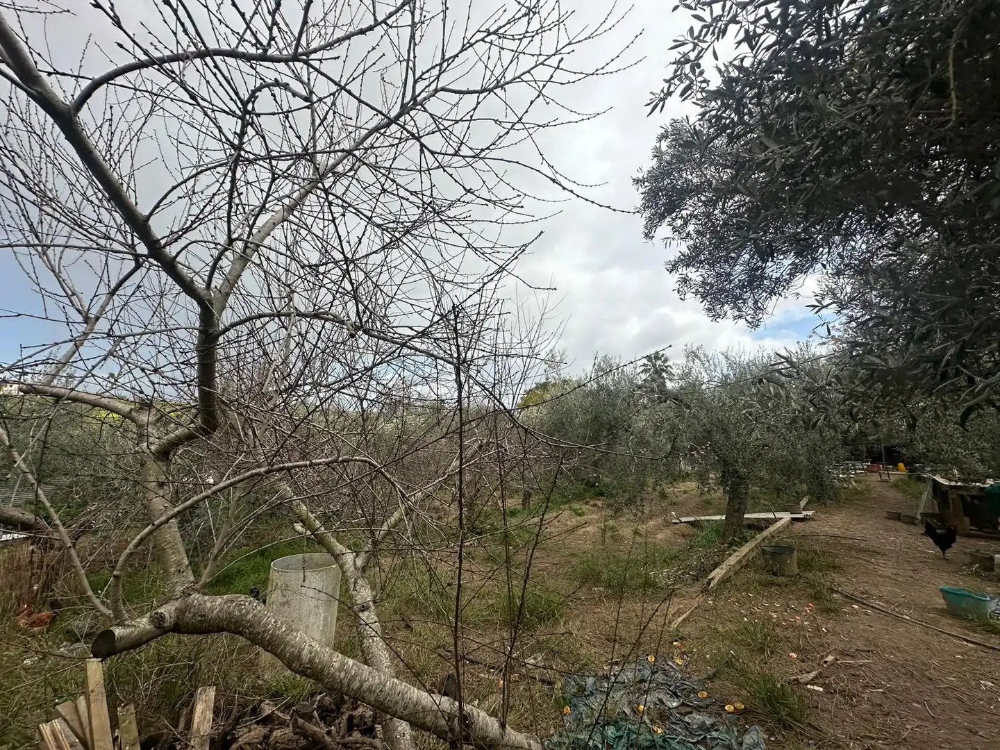 Terreni e lotti in vendita a Calle Caño Ronco Este, imagen 10