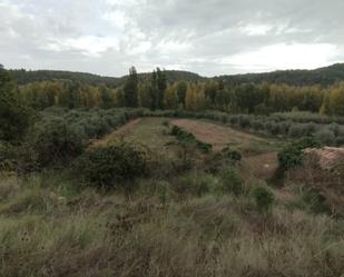 Terreny en venda en La Fresneda