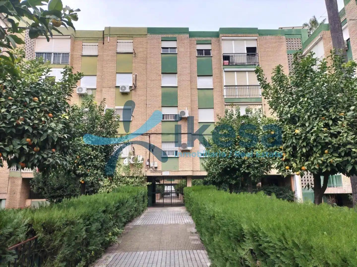 Vista exterior de Apartamento en venta en Castilleja de la Cuesta