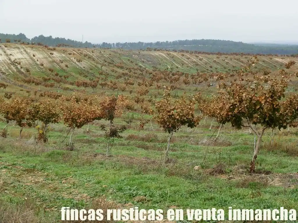 Terreni e lotti in vendita a Huete, imagen 30