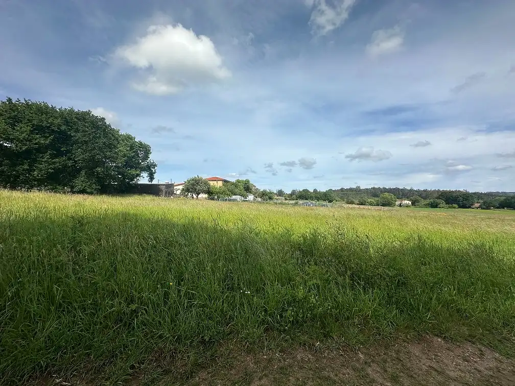 Terreni e lotti in vendita a Lugar Pino, imagen 6