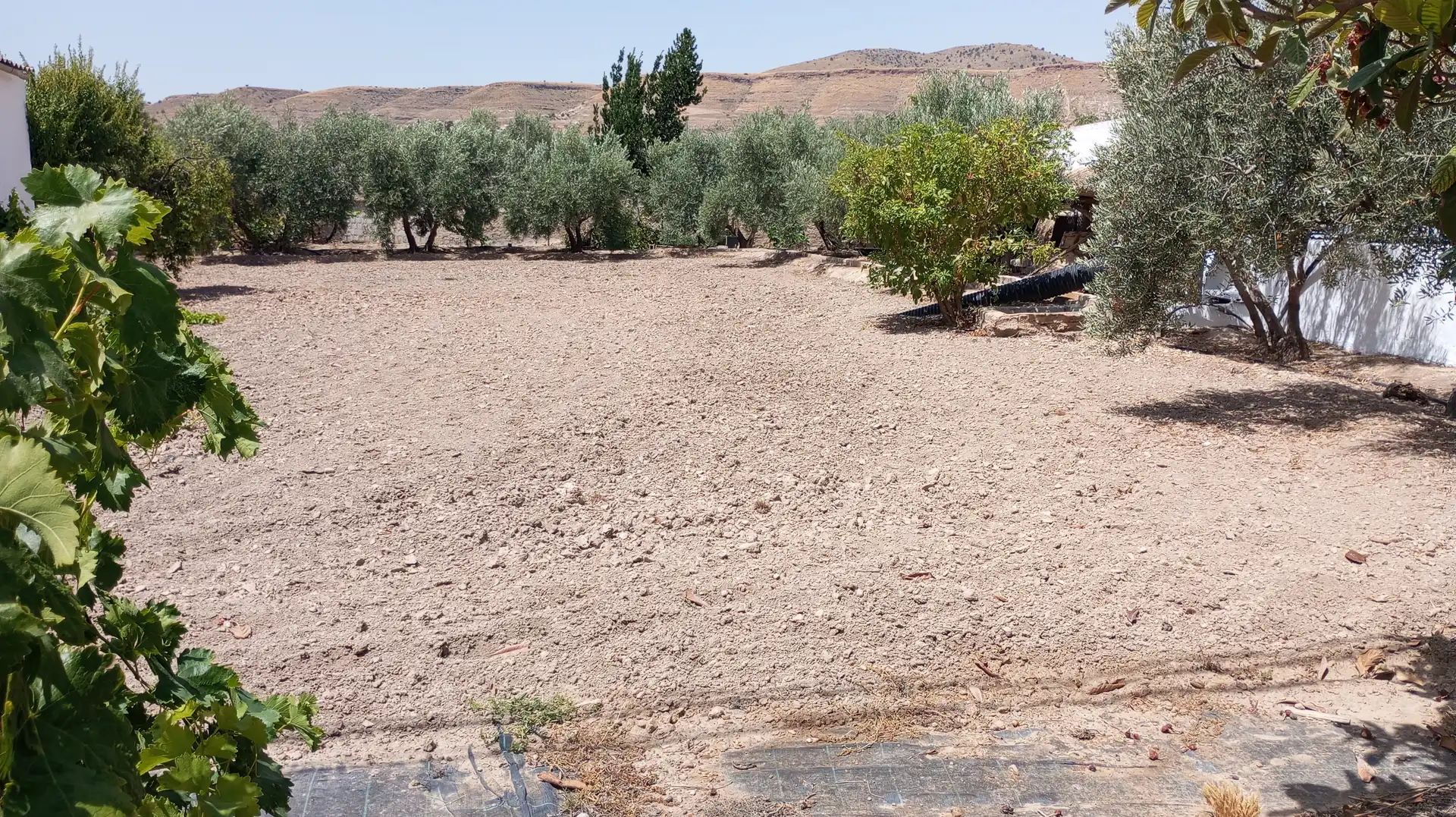 Casa o xalet en venda en Baza amb Moblat