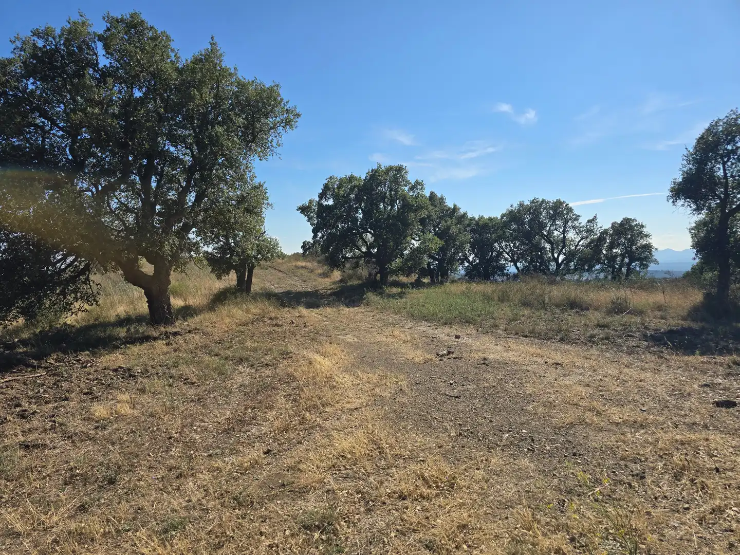 Terreno en venta en Vilajuïga