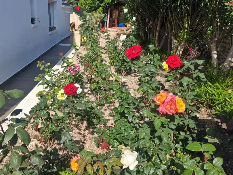 Jardí de Pis en venda en Calpe / Calp amb Aire condicionat, Piscina i Balcó