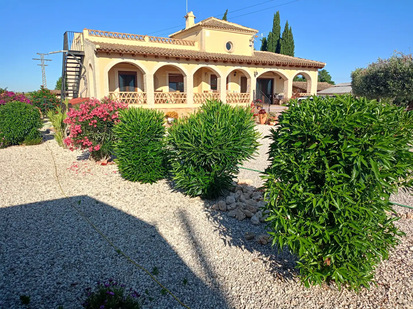 Vista exterior de Casa o chalet en venta en Jacarilla con Jardín privado, Terraza y Piscina