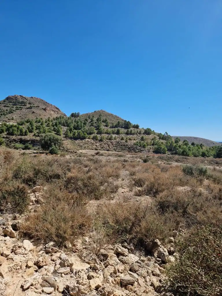 Rustikales Grundstück zum Verkauf in Pedanías Oeste, imagen 7