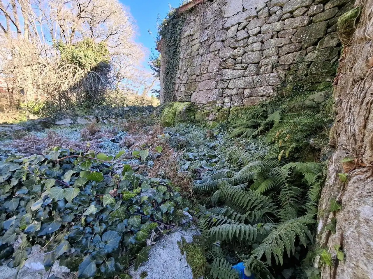Vista exterior de Casa o xalet en venda en Esgos amb Jardí privat