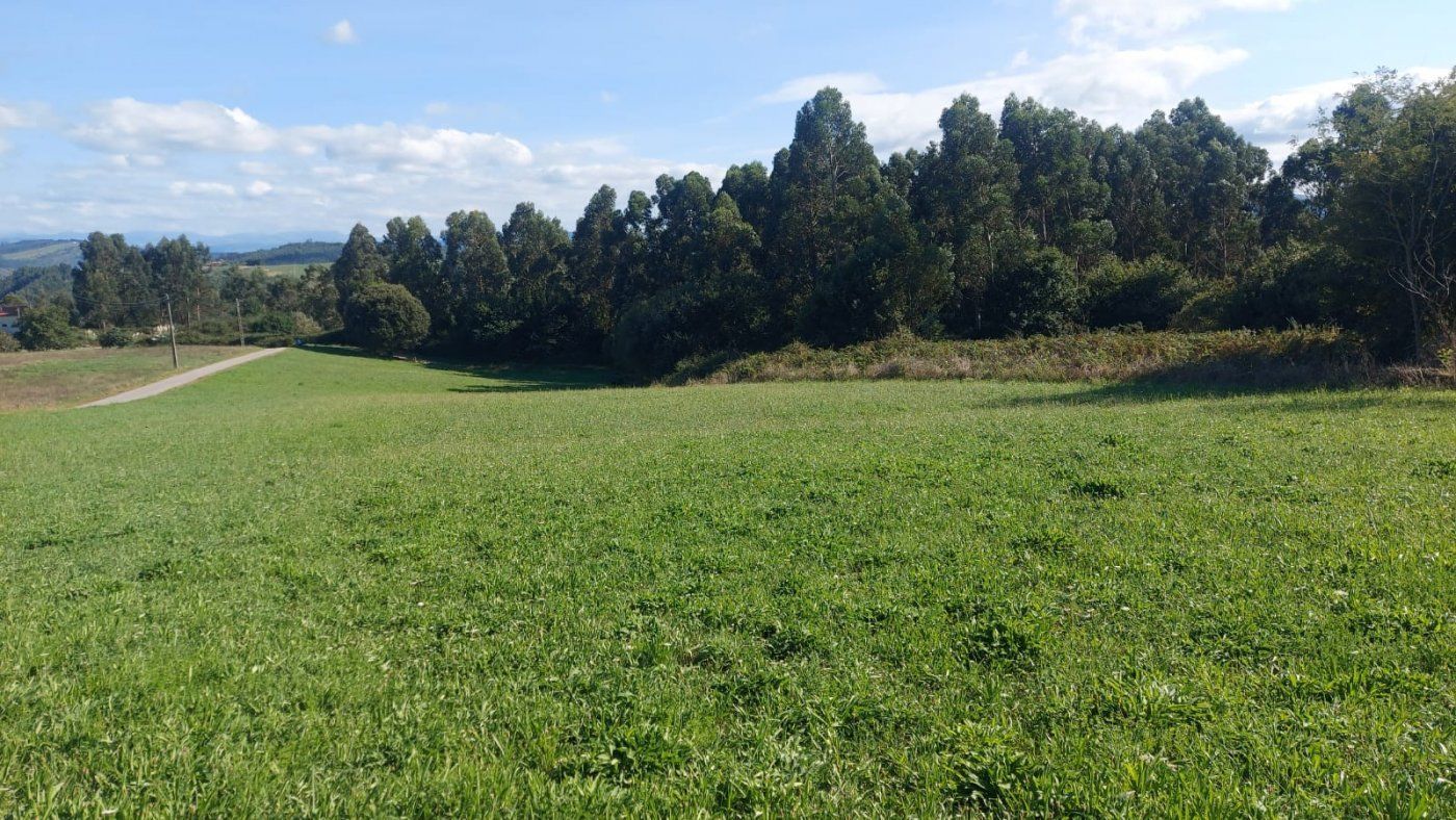 Country house for sale in Miengo