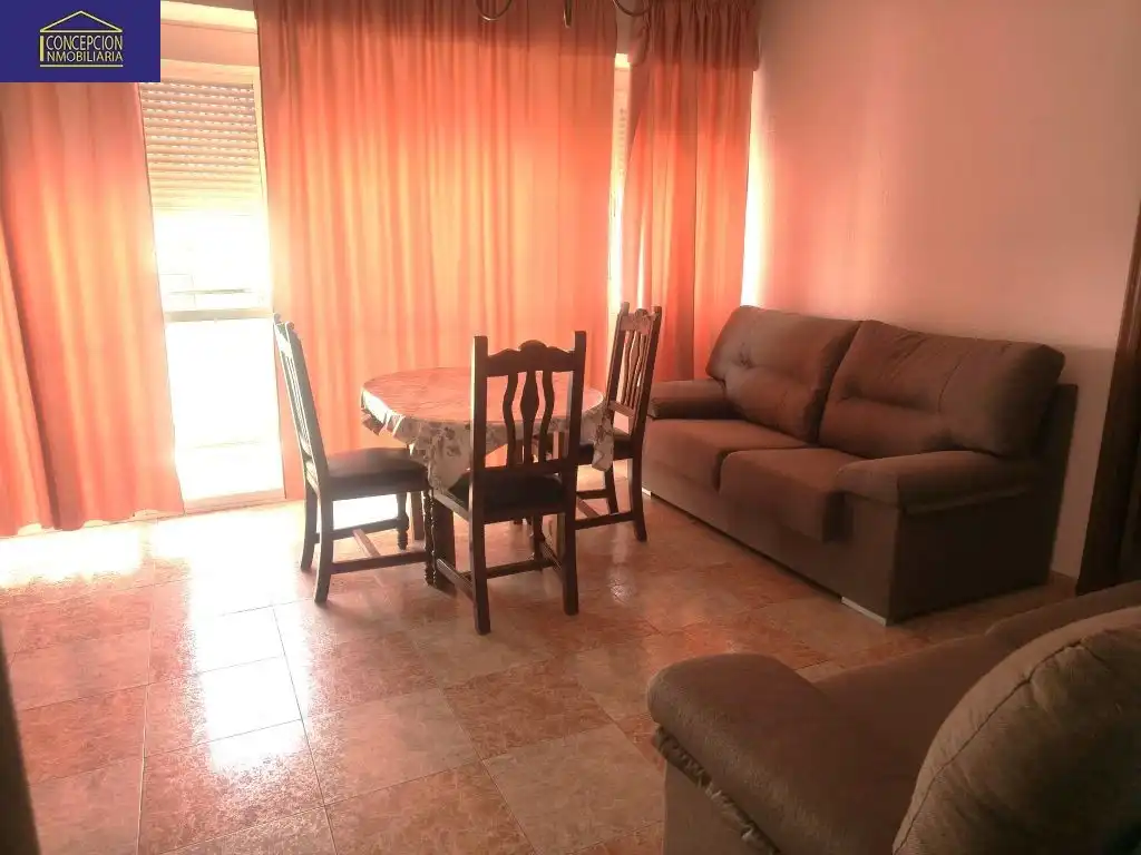 Piso con ascensor en alquiler en Poniente-Sur