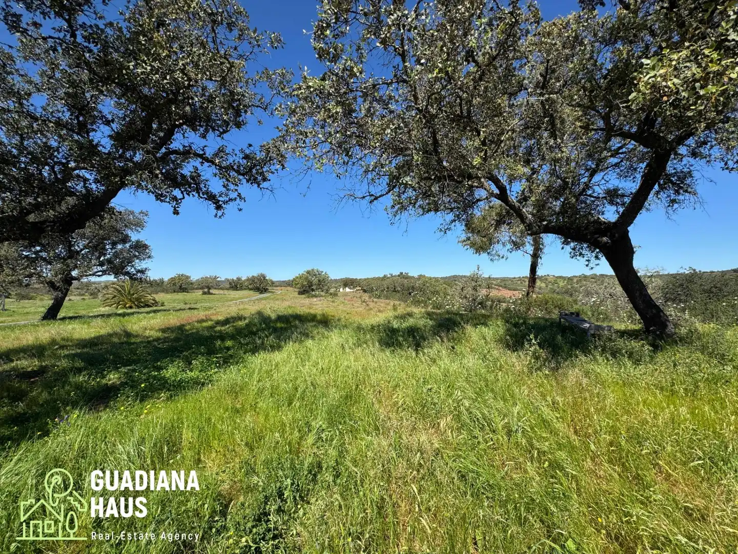 Country homes for sale in San Silvestre de Guzmán