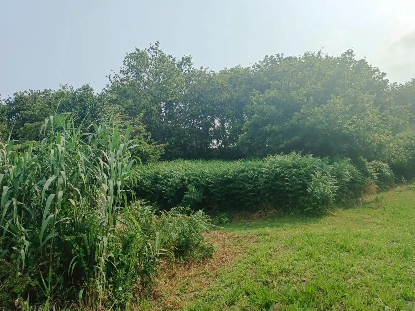 Rural land for sale in Camino SAN XURXO-SAIANS 20, imagen 8