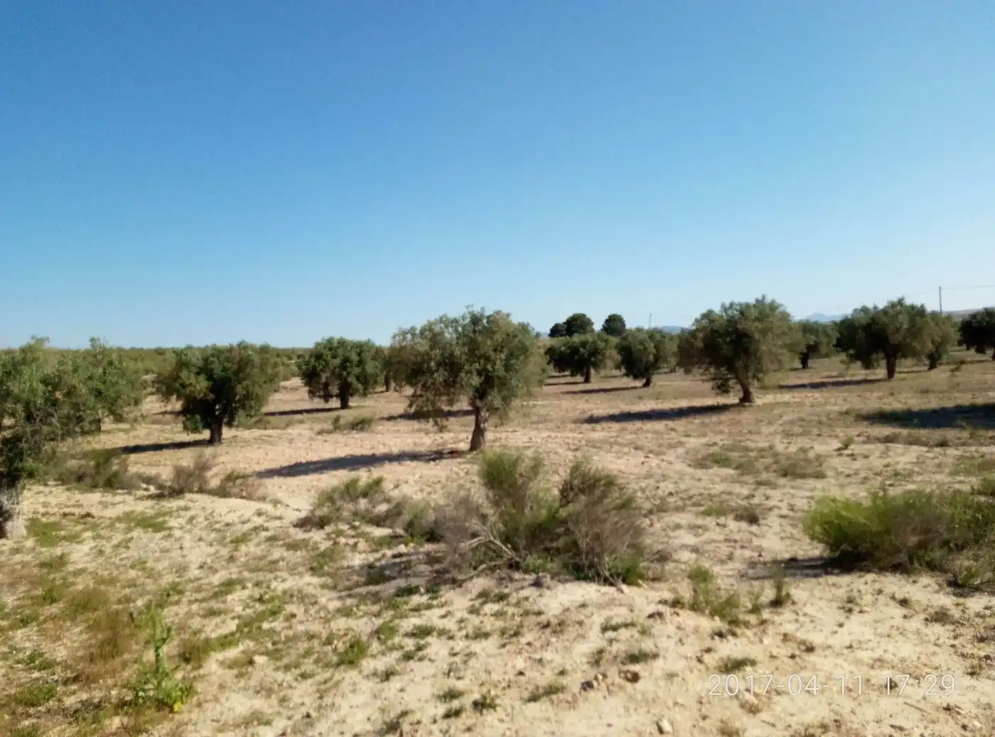 Terreny residencial en venda a Sierra de Carrascoy, imagen 40