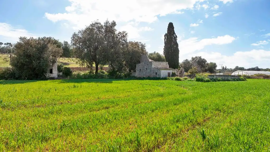 Rural land for sale in Muro, imagen 5