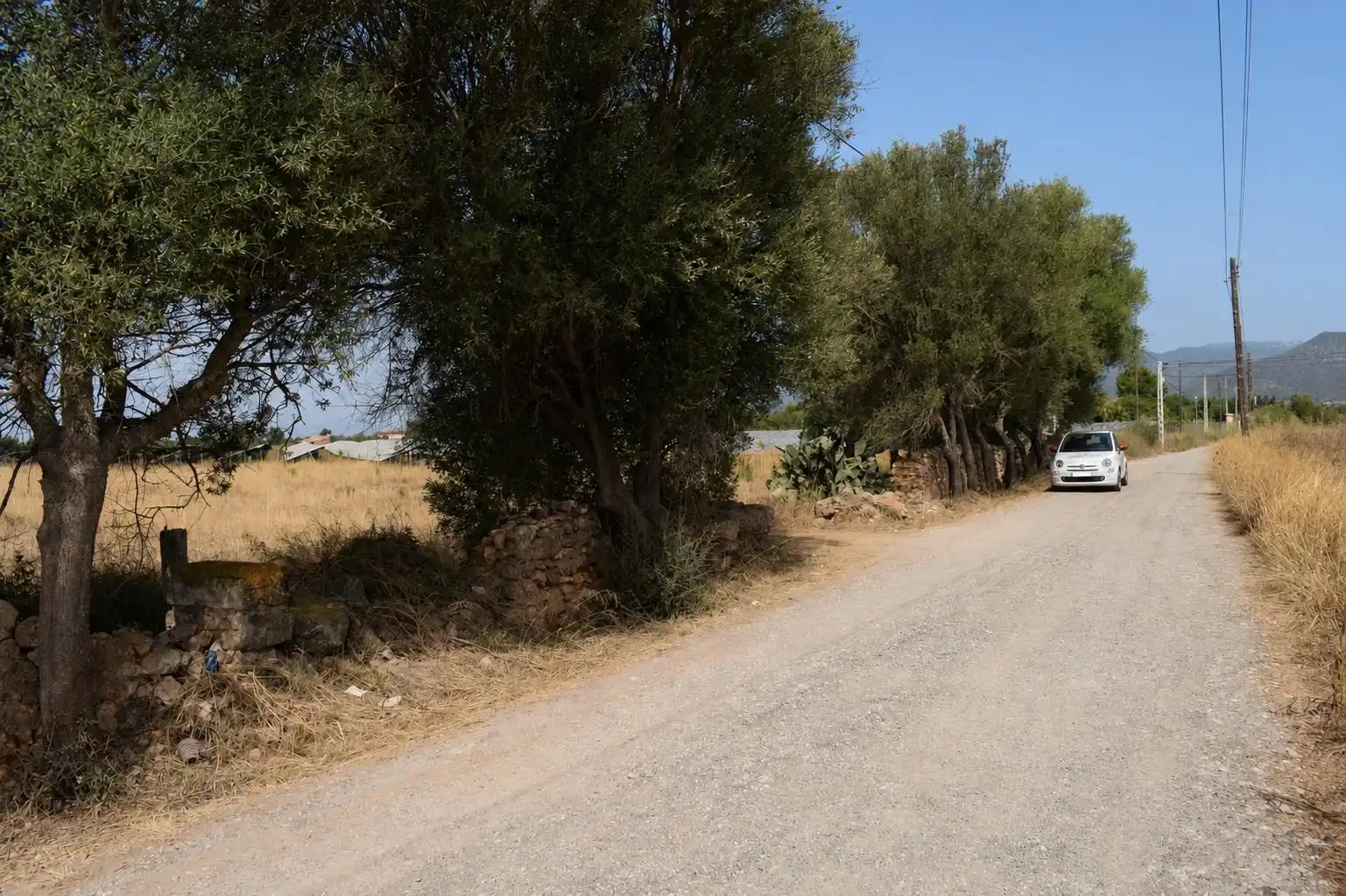 Terreny residencial en venda a Santa María del Camí, imagen 14