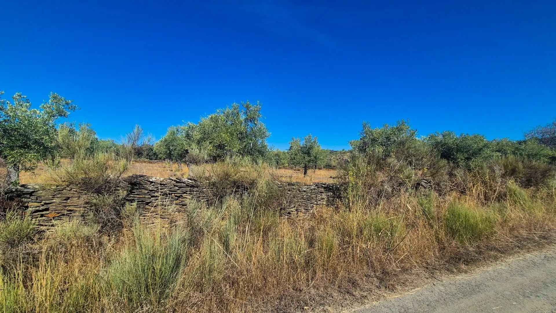 Land for sale in Ahigal de los Aceiteros, Salamanca